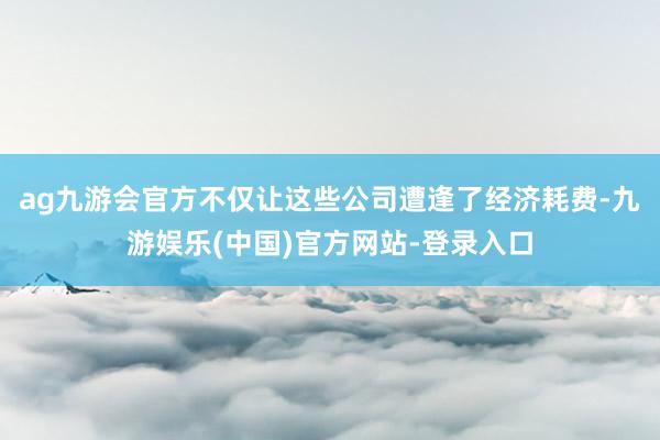 ag九游会官方不仅让这些公司遭逢了经济耗费-九游娱乐(中国)官方网站-登录入口