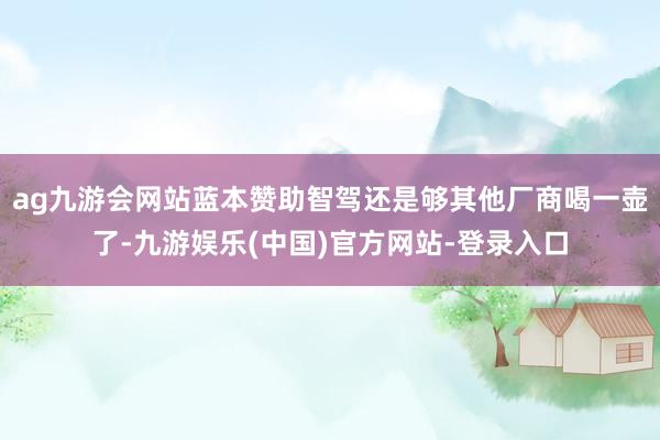 ag九游会网站蓝本赞助智驾还是够其他厂商喝一壶了-九游娱乐(中国)官方网站-登录入口