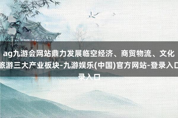 ag九游会网站鼎力发展临空经济、商贸物流、文化旅游三大产业板块-九游娱乐(中国)官方网站-登录入口